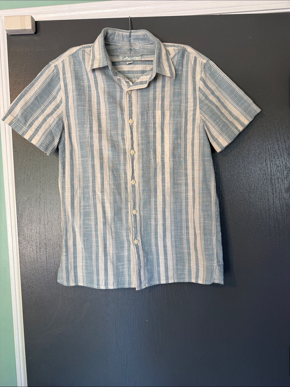 American Eagle Outfitters Blue and White Striped Short-Sleeve Button-Up